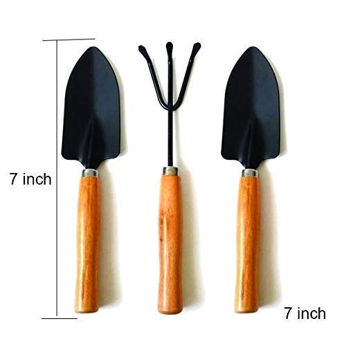 Giftock 3 Pcs Mini Garden Tool Set Gardening Shovels, Spade, Rale with Wooden Handles