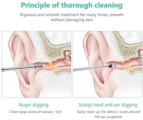 Giftock 6 Pcs Ear Cleansing Tool Set with Keychain Box | Earwax Removal Kit | Stainless Steel Ear Curette and Spring Ear Buds Cleaner with a Cleaning Brush and Storage Box | Medical Grade