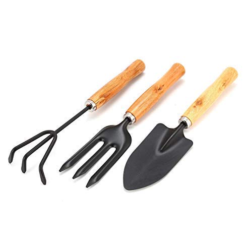 Giftock 3 Pcs Mini Garden Tool Set Gardening Shovels, Spade, Rale with Wooden Handles