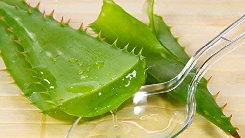 Giftock Aloe Vera Cool Eye Mask (Value pack of 3)