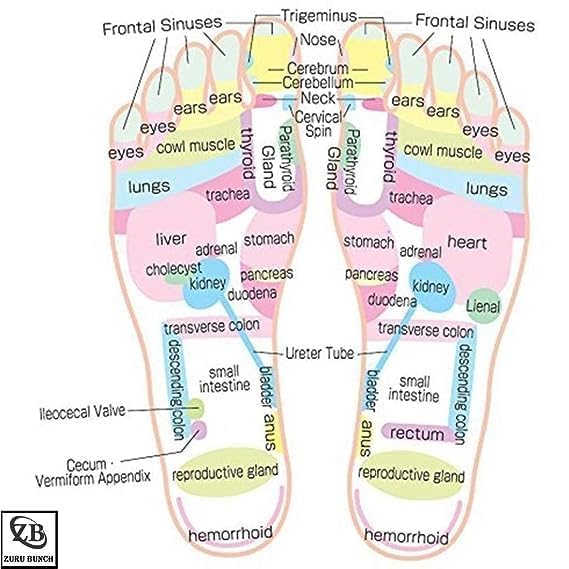 Giftock Spring Acupressure Magnetic Therapy Sandals |Yoga Paduka Acupressure Foot Relaxer| Foot Massager Slipper| Rotating Acupressure Foot Slippers for Men & Women (6 UK)