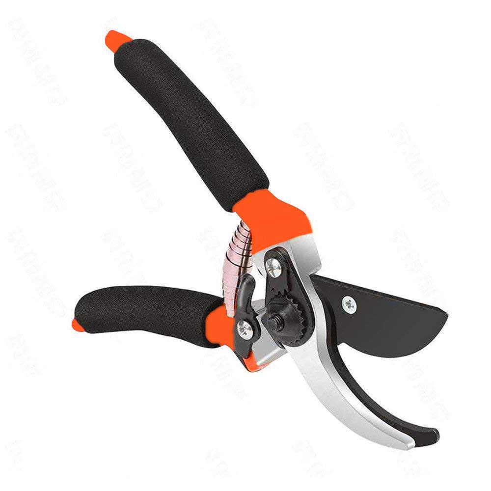 Giftock Heavy Duty Plant Cutter For Home Garden | Grip-Handle Flower Sharp Cutter | 8 Inch Garden Bypass Pruning Shears | Pruners Scissor with Safety Lock | Garden Scissors For Home Gardening