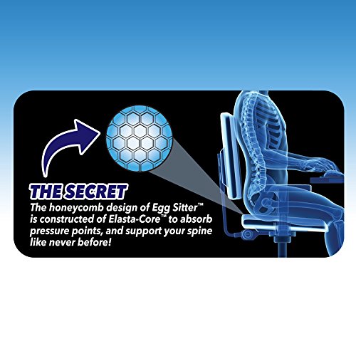 Giftock Egg Sitter Seat Cushion with Non-Slip Cover Breathable Honeycomb Design Absorbs Pressure Points