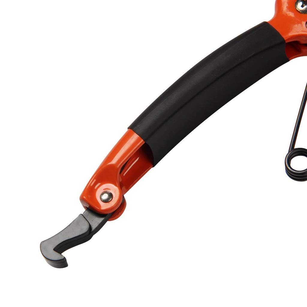 Giftock Gardening Tools- Stainless Steel Tiger Cutter Plant Cutter Tree Cutter Garden Shears Pruners Scissor, Garden Scissors Pruning Seeds, Leaf Cutter, Flower Cutter