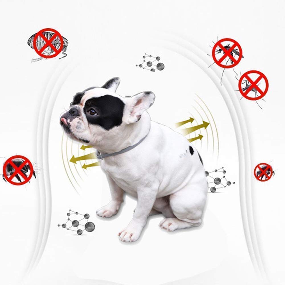 Giftock Square Portable Electric Flea Comb for Dog, Puppy, Cat, Kitten || Pet Comb for Removing Lice, Ticks and Flea