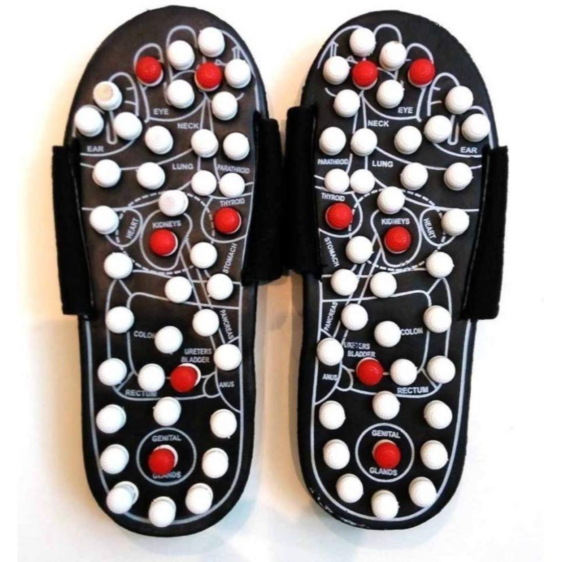 Giftock Spring Acupressure Magnetic Therapy Sandals |Yoga Paduka Acupressure Foot Relaxer| Foot Massager Slipper| Rotating Acupressure Foot Slippers for Men & Women (6 UK)