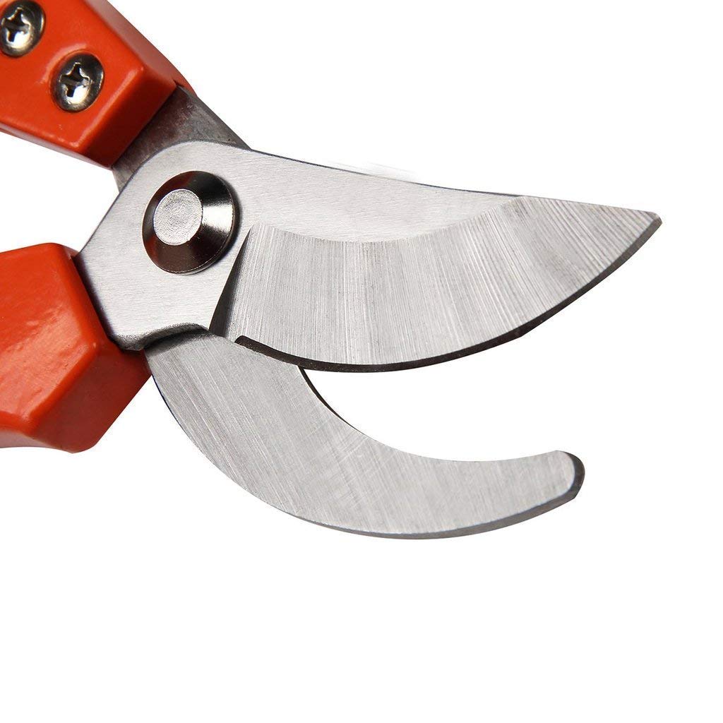 Giftock Gardening Tools- Stainless Steel Tiger Cutter Plant Cutter Tree Cutter Garden Shears Pruners Scissor, Garden Scissors Pruning Seeds, Leaf Cutter, Flower Cutter