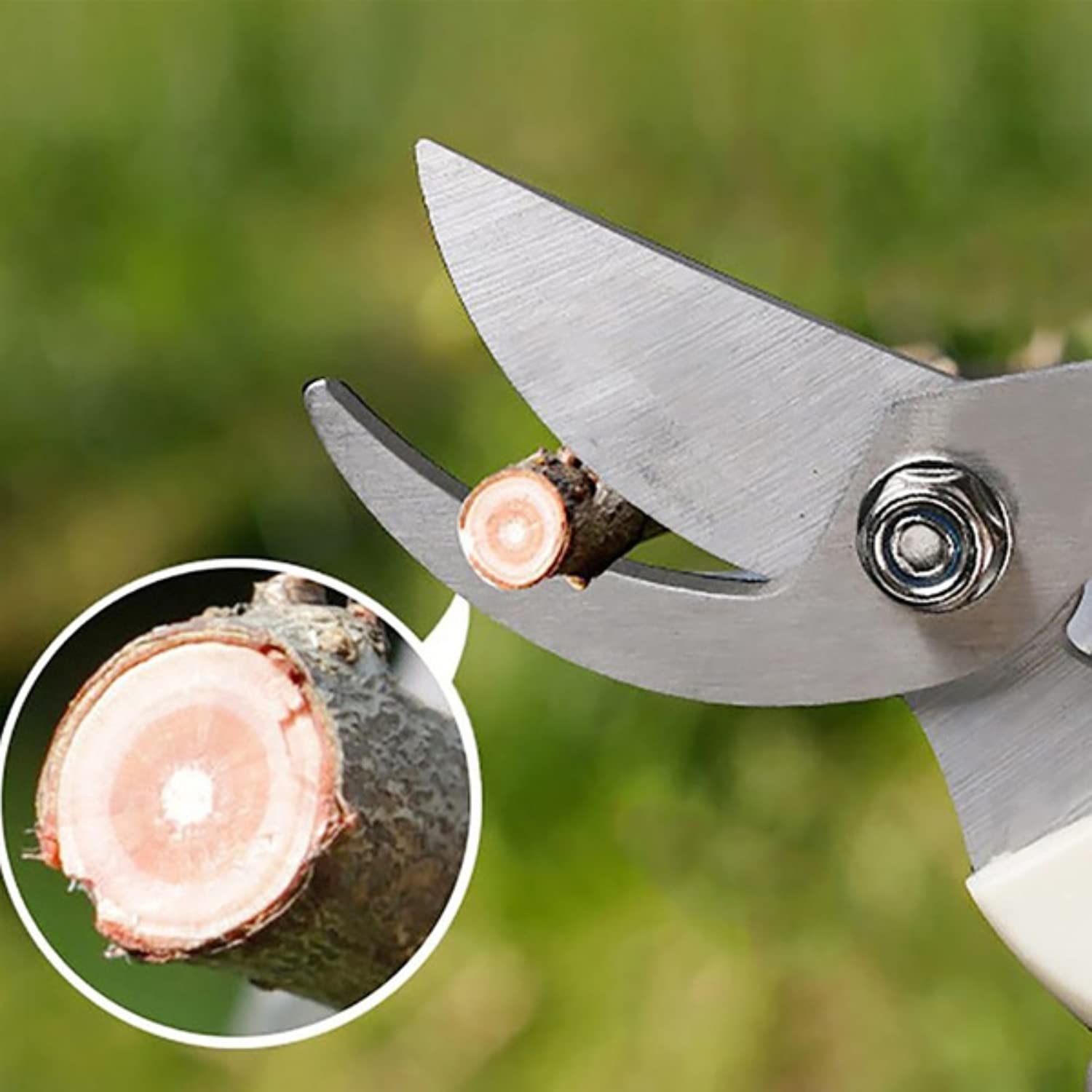 Giftock Heavy Duty Plant Cutter For Home Garden | Grip-Handle Flower Sharp Cutter | 8 Inch Garden Bypass Pruning Shears | Pruners Scissor with Safety Lock | Garden Scissors For Home Gardening