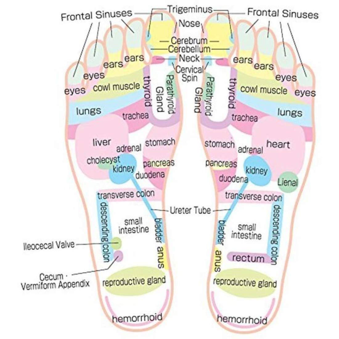 Giftock Spring Acupressure Magnetic Therapy Sandals |Yoga Paduka Acupressure Foot Relaxer| Foot Massager Slipper| Rotating Acupressure Foot Slippers for Men & Women (6 UK)