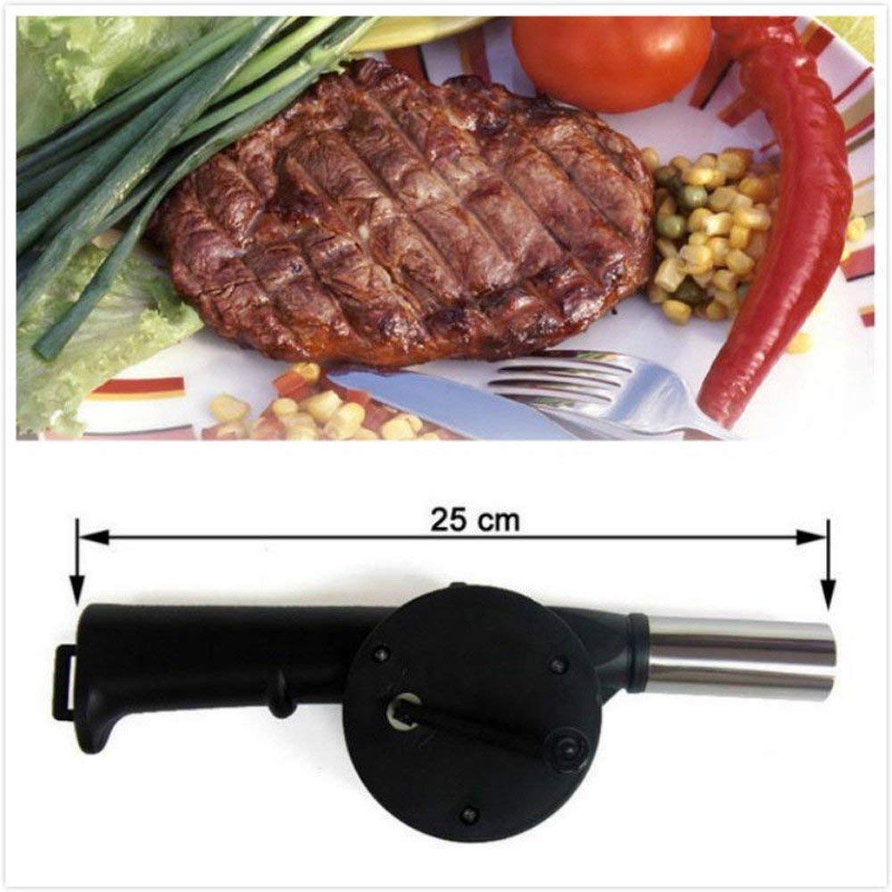 Giftock Glord Stainless Steel Standard Portable Hand Powered Bbq Fan Air Blower For Outdoor Camping Picnic Charcoal Grill Barbecue (Multicolour).