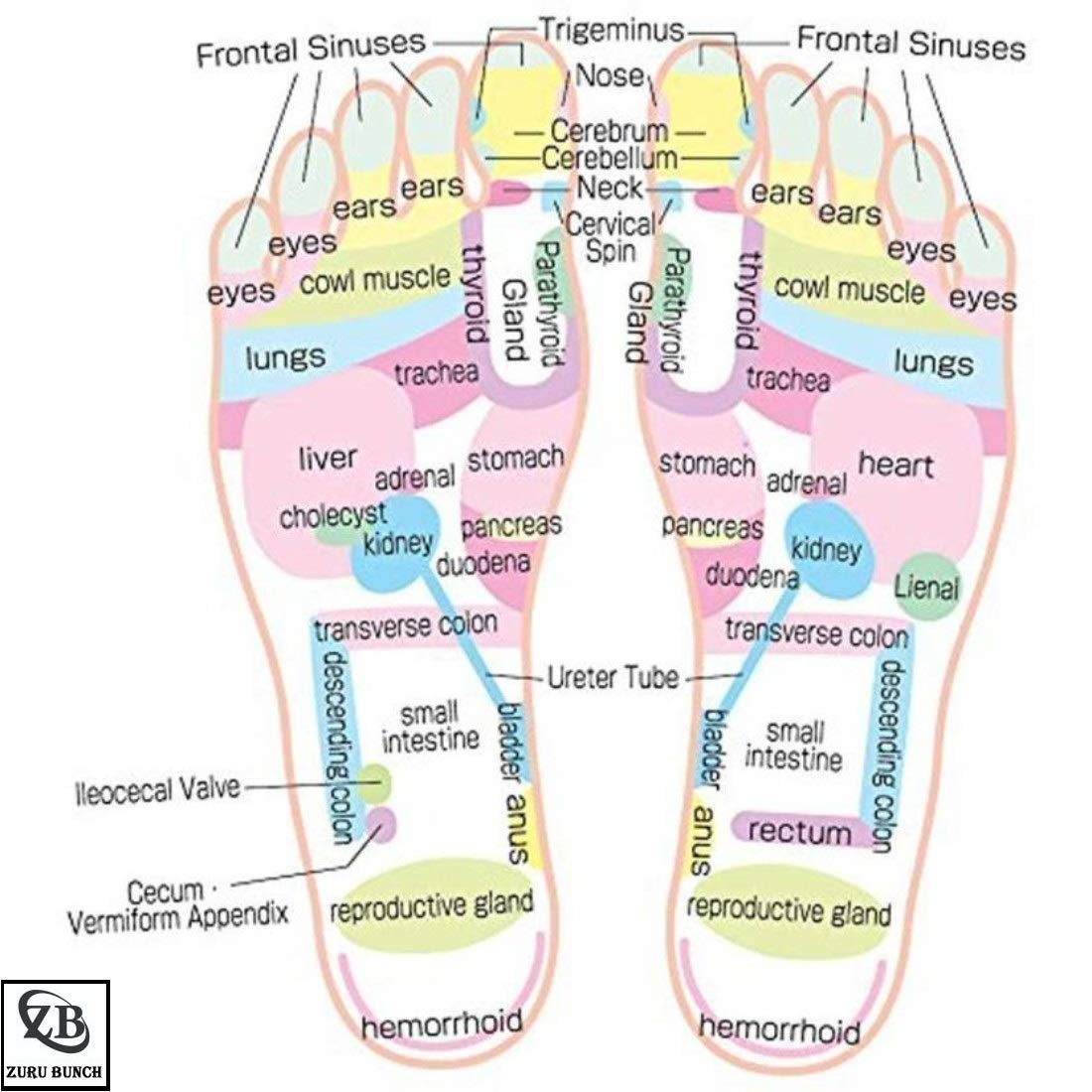 Giftock Spring Acupressure Magnetic Therapy Sandals |Yoga Paduka Acupressure Foot Relaxer| Foot Massager Slipper| Rotating Acupressure Foot Slippers for Men & Women (6 UK)