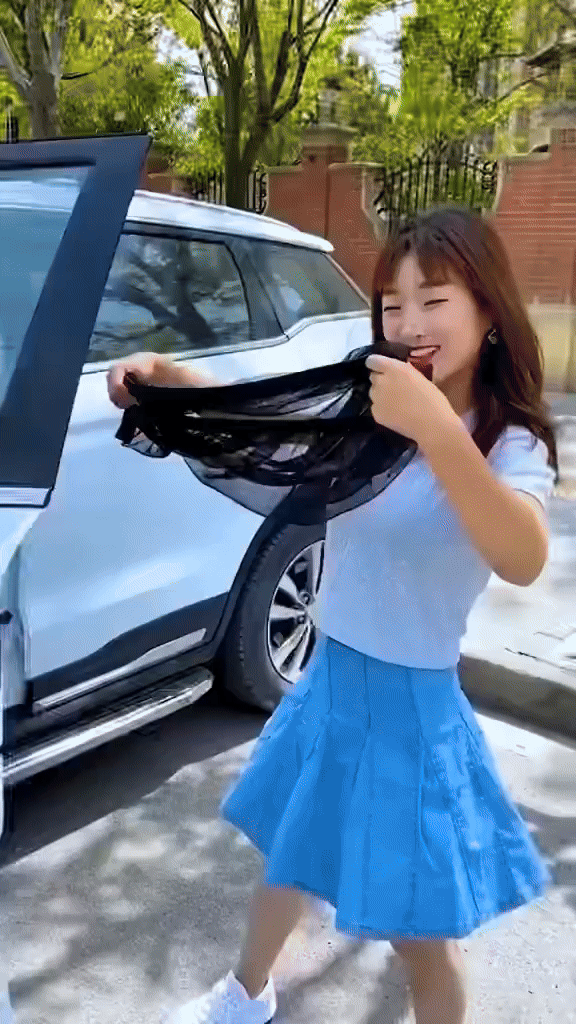 Giftock Set of 4 CAR Glass Window Cover for Sun